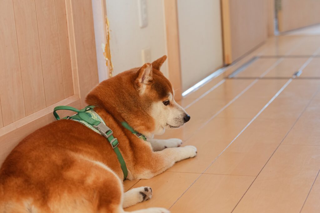 住まいのリペア　仙台｜交換より補修で費用削減｜仙台リペアナビ　ハウスリペア紹介まとめイメージ写真